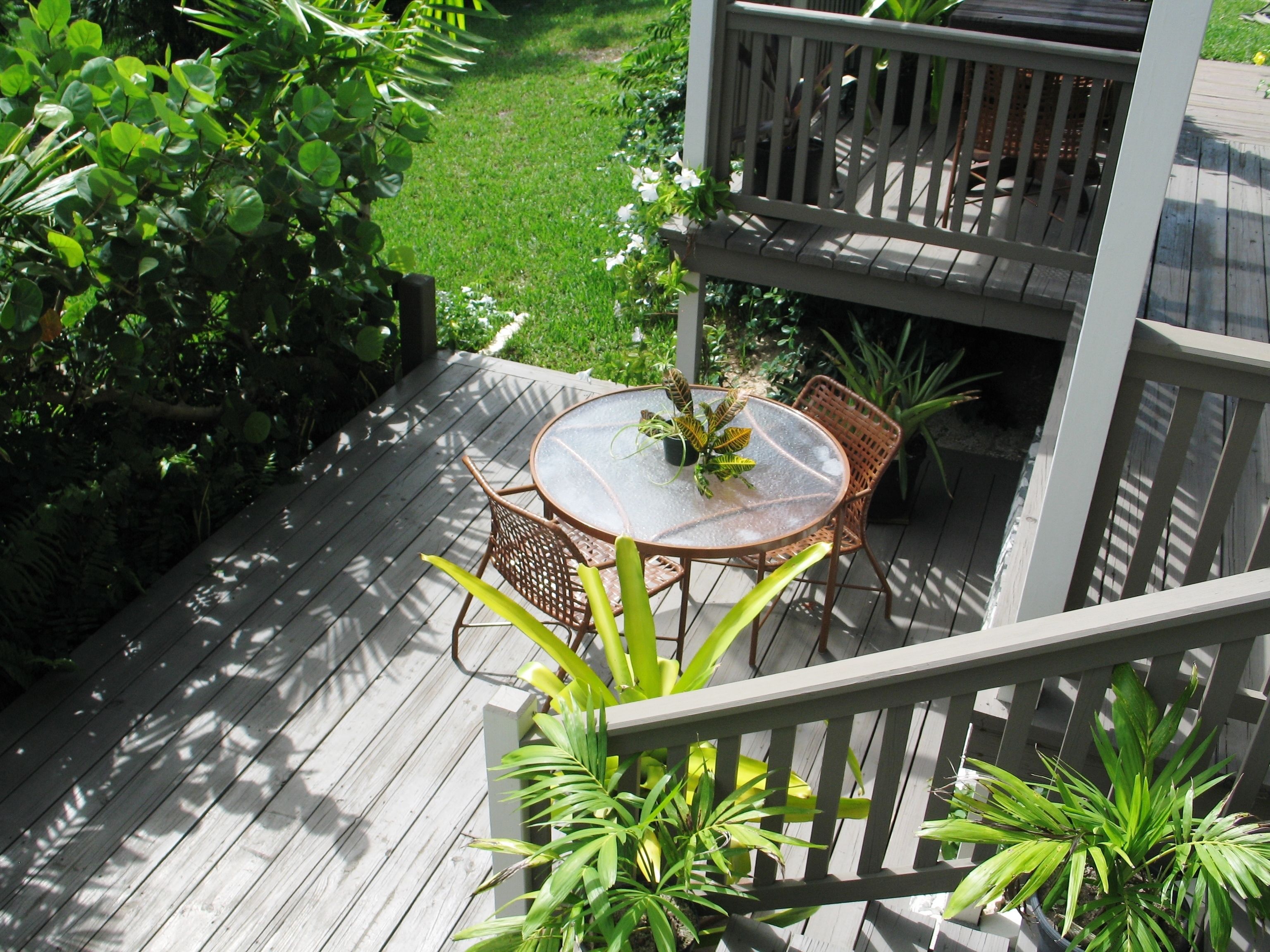 Una terraza de madera con una mesa redonda de vidrio y sillas de mimbre, rodeada de abundante follaje.