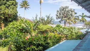Un exuberante jardín con diversas plantas tropicales y palmeras, una estructura de techo azul y vista al océano.