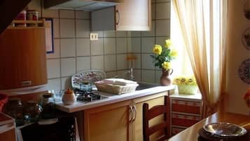 Apartamento, 1 quarto, cozinha, vista parcial para o lago | Cozinha privada