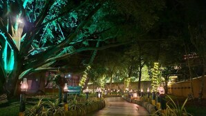 A pathway lined with plants and illuminated by string lights, leading to a building with a visible entrance. - Hoysala Village Resort (Hassan)
