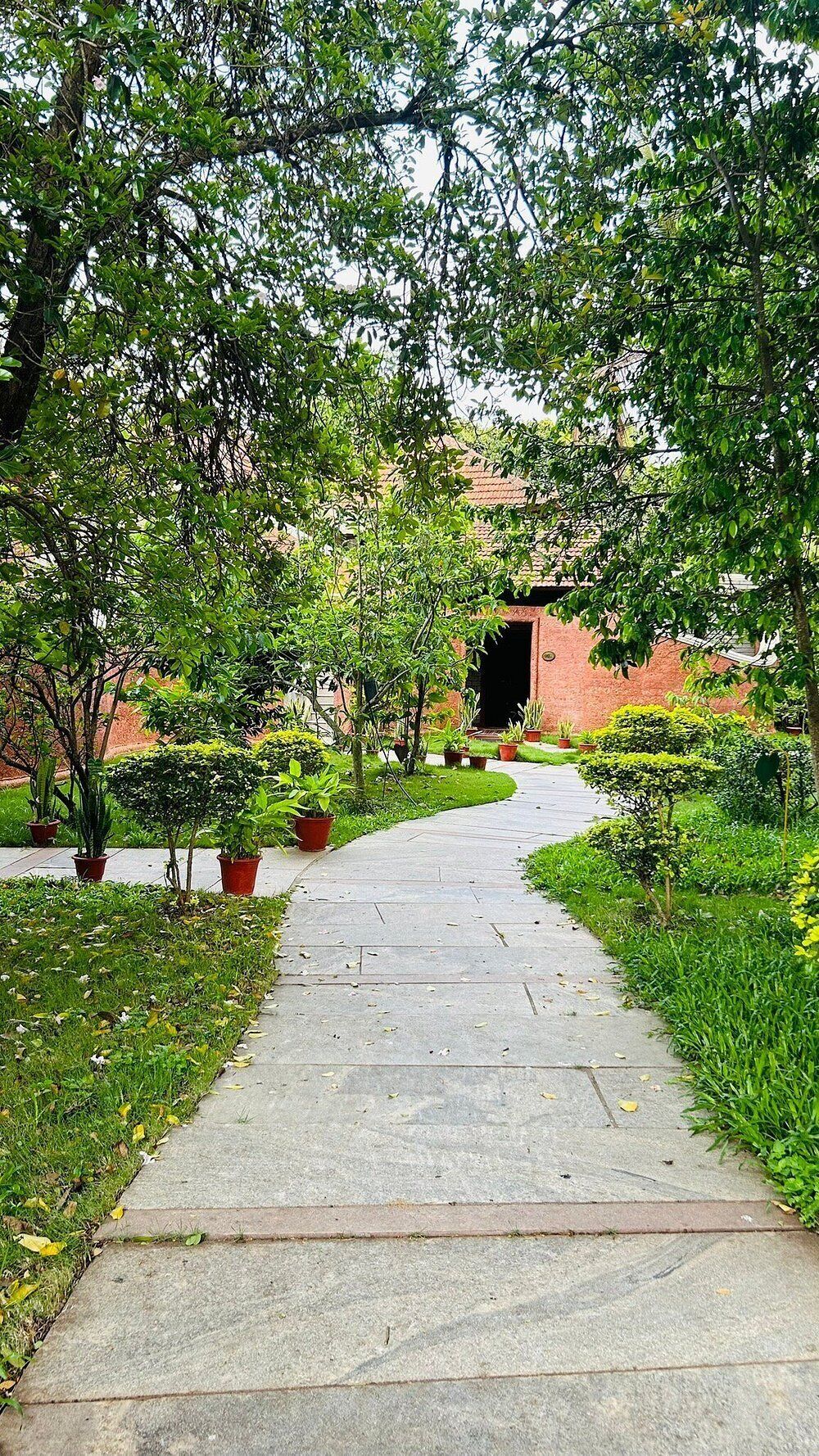 A paved pathway leading to a building entrance, surrounded by greenery and potted plants.