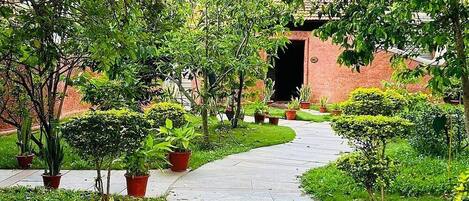 A paved pathway leading to a building entrance, surrounded by greenery and potted plants.