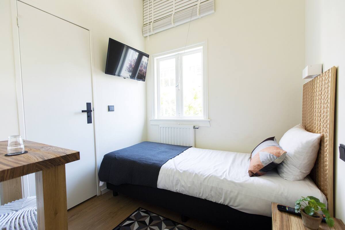 A bedroom with a bed, a TV mounted on the wall, a window, and a small table with a plant.