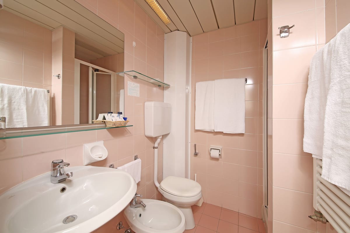 free toiletries, hair dryer, bidet, towels