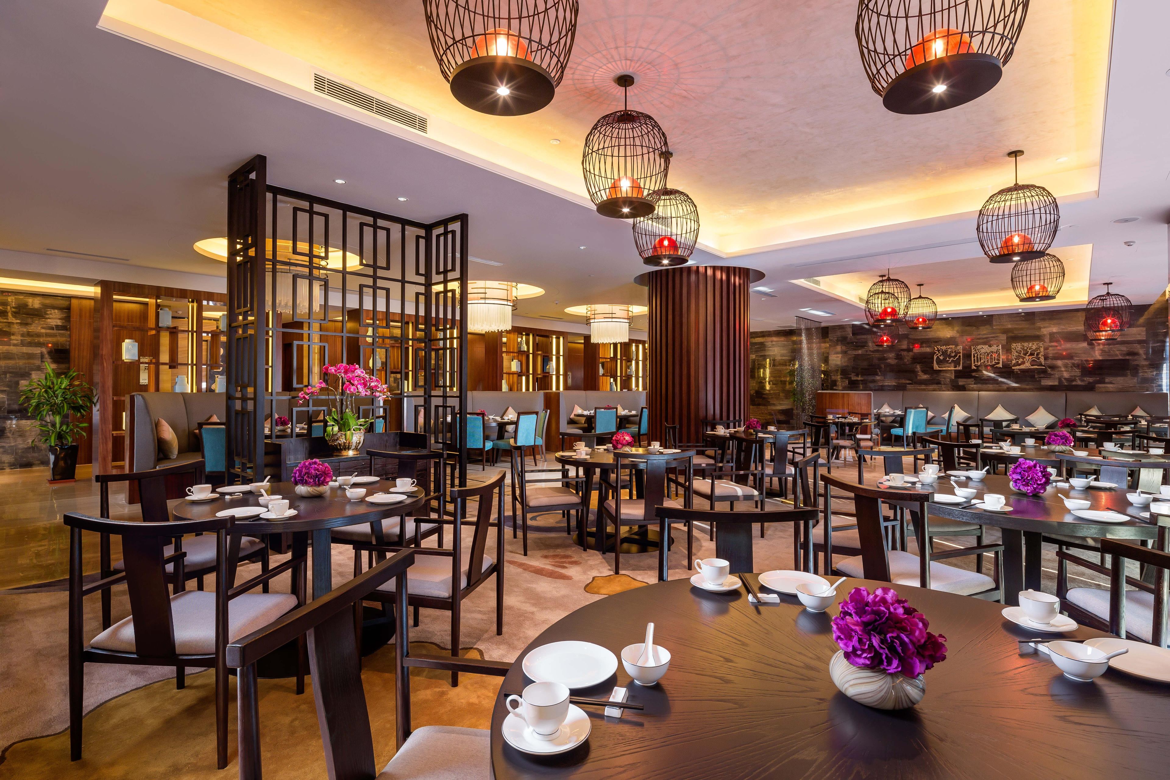 Un comedor de hotel con varias mesas, sillas y diferentes tipos de mantelería.