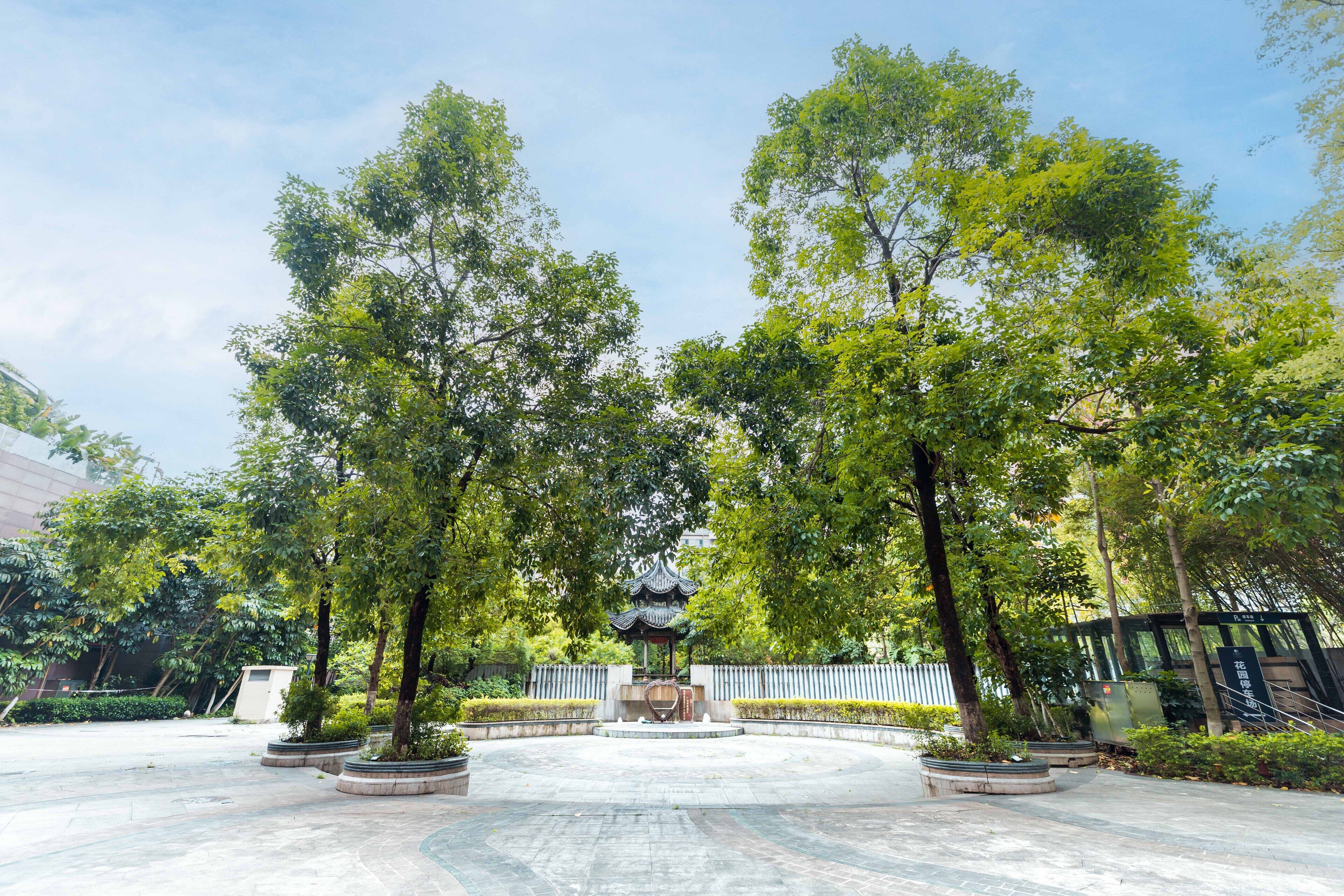 Un patio con un pabellón central rodeado de árboles y un sendero pavimentado.