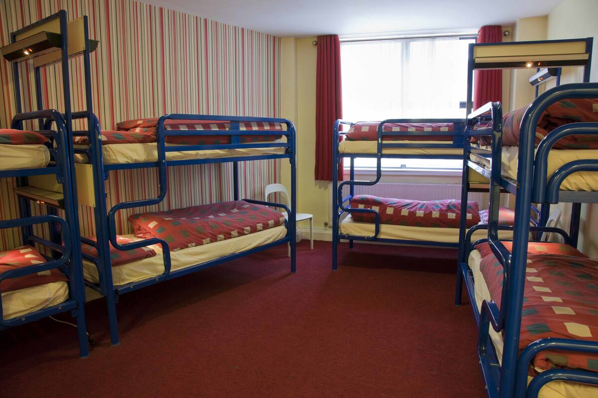 A dormitory room with bunk beds, striped wallpaper, and a window with curtains.