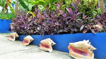 Jardín