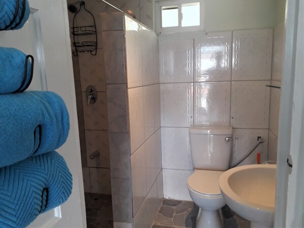 A bathroom with a toilet, bidet, and a shower area.