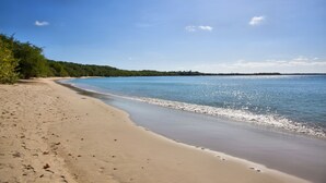 A beach with a sandy shore and calm water. - Miller's Guest House (Buccoo)