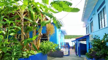 Una calle estrecha con edificios azules, un corredor cubierto y abundante vegetación, incluyendo árboles de plátano.