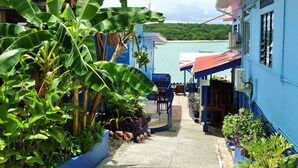 A narrow pathway leading to a building with a blue exterior, surrounded by lush greenery and a view of the sea. - Miller's Guest House (Buccoo)