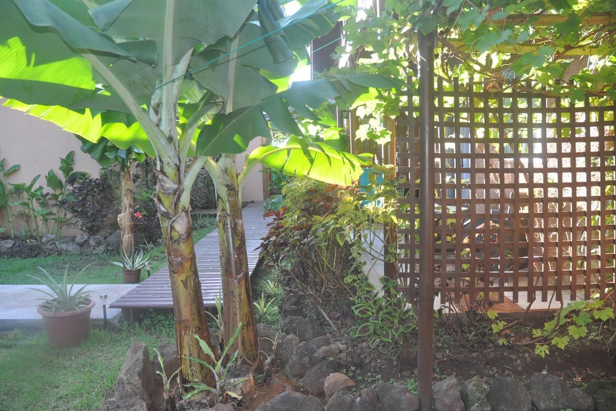 Jardines del alojamiento