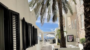 Cour