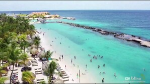 Une plage à l’eau turquoise et limpide, bordée de palmiers et dotée d’une jetée.