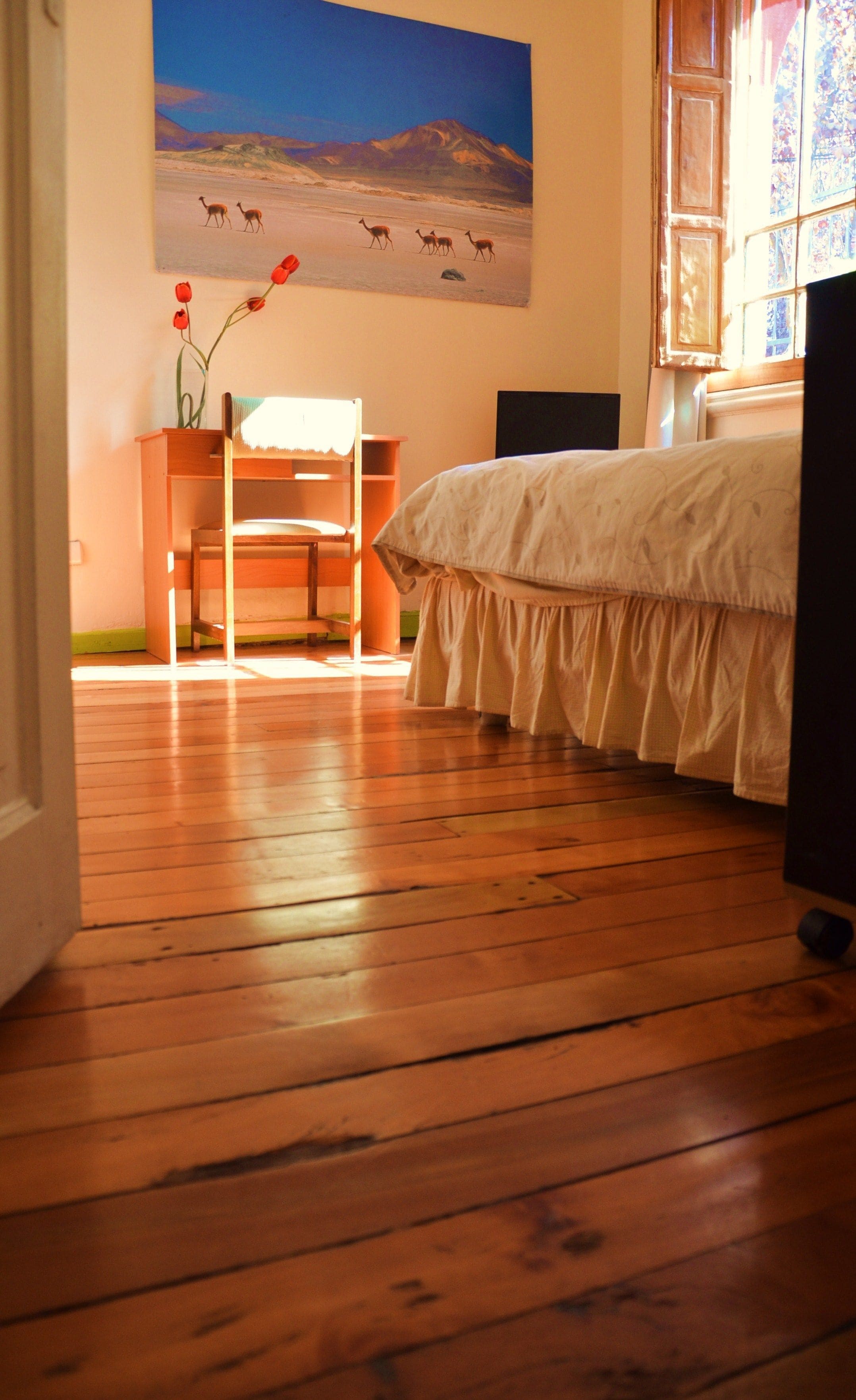 尊榮客房, 1 張特大雙人床 | 書桌、筆電工作空間、熨斗/熨衣板、免費無線上網