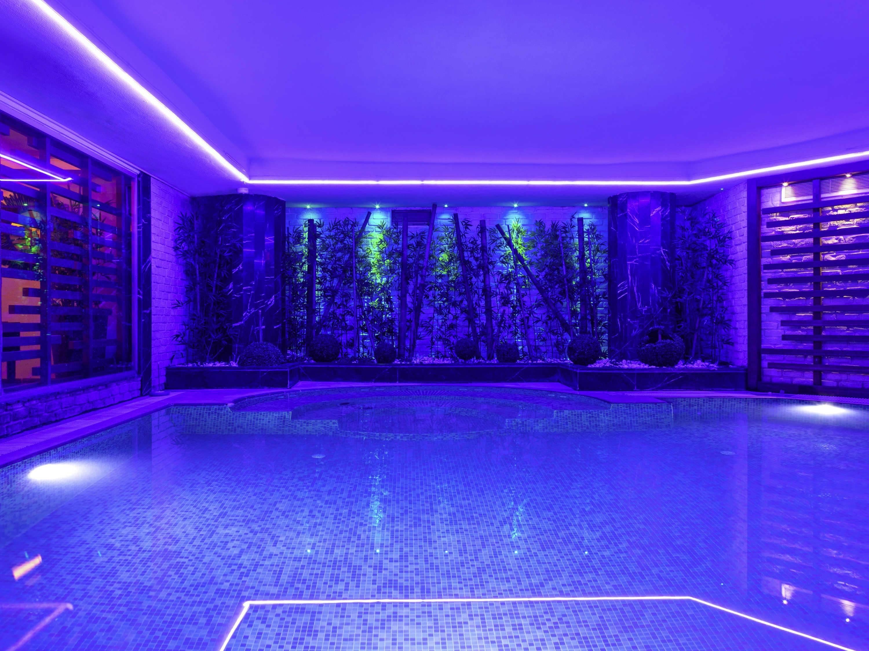 Een binnenzwembad met betegelde vloer en een wand vol bamboeplanten, verlicht met paars licht.