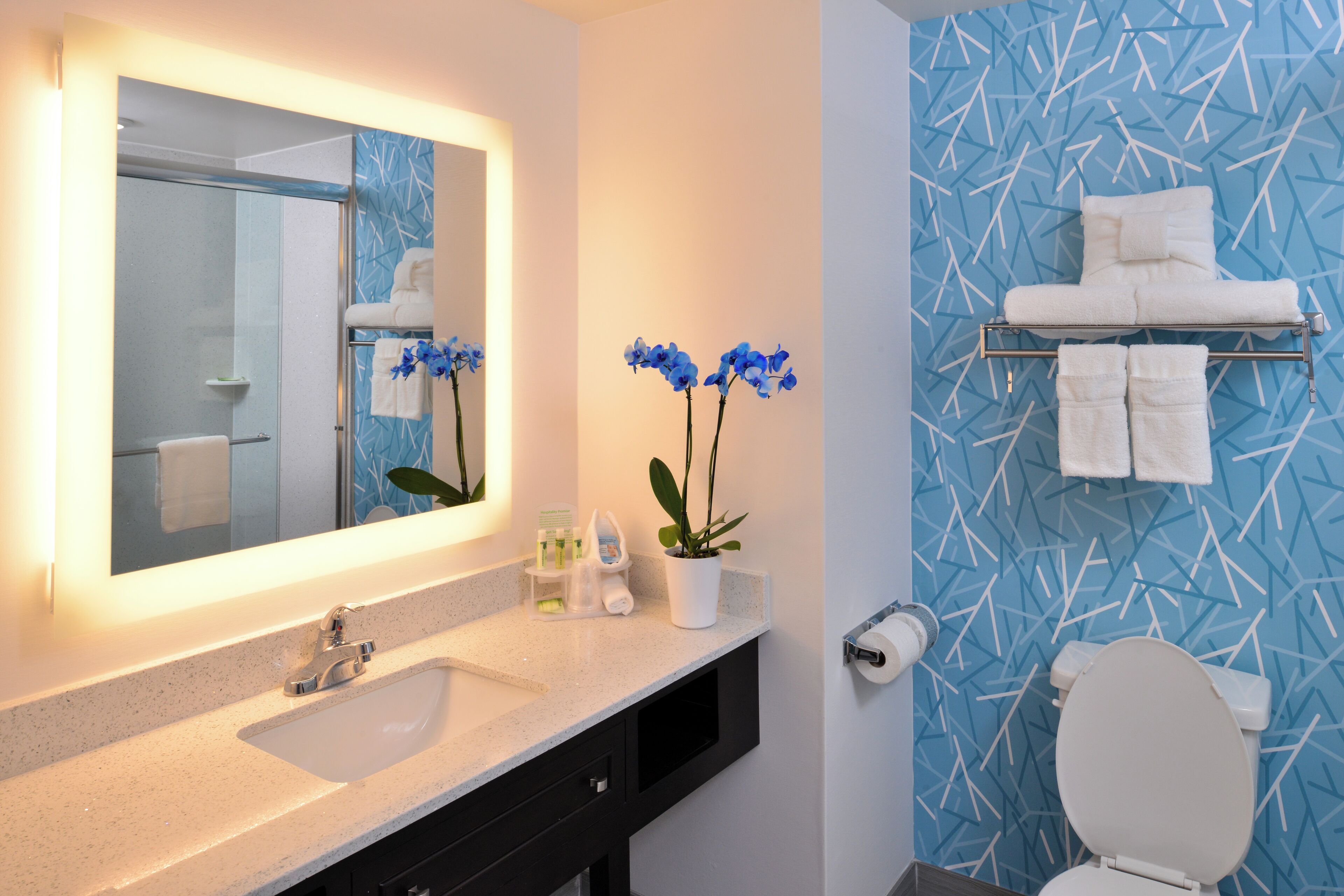 Une salle de bain équipée d’un lavabo, d’un miroir, d’un porte-serviettes, de toilettes et d’un mur orné d’un motif bleu.