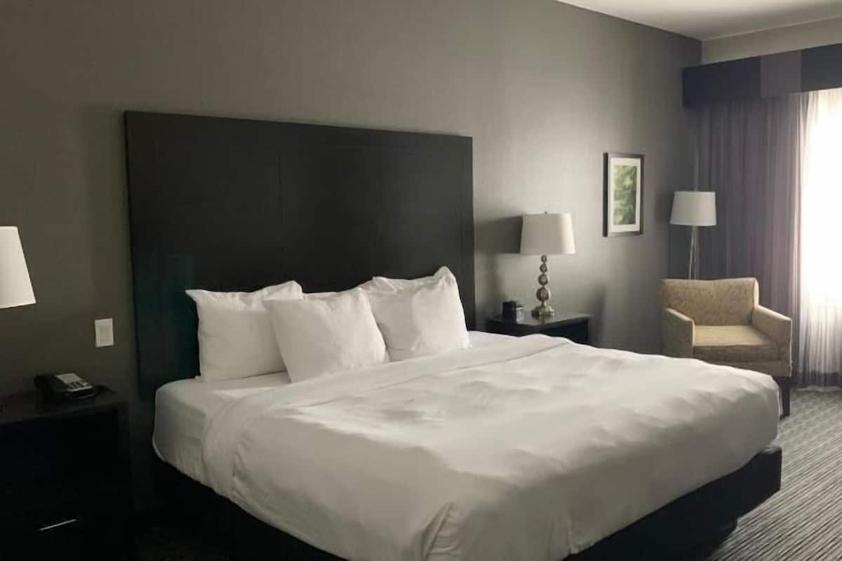Premium bedding, desk, iron/ironing board, free cribs/infant beds