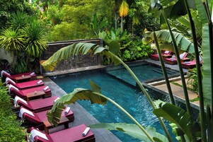 Una piscina al aire libre, sombrillas, sillones reclinables de piscina