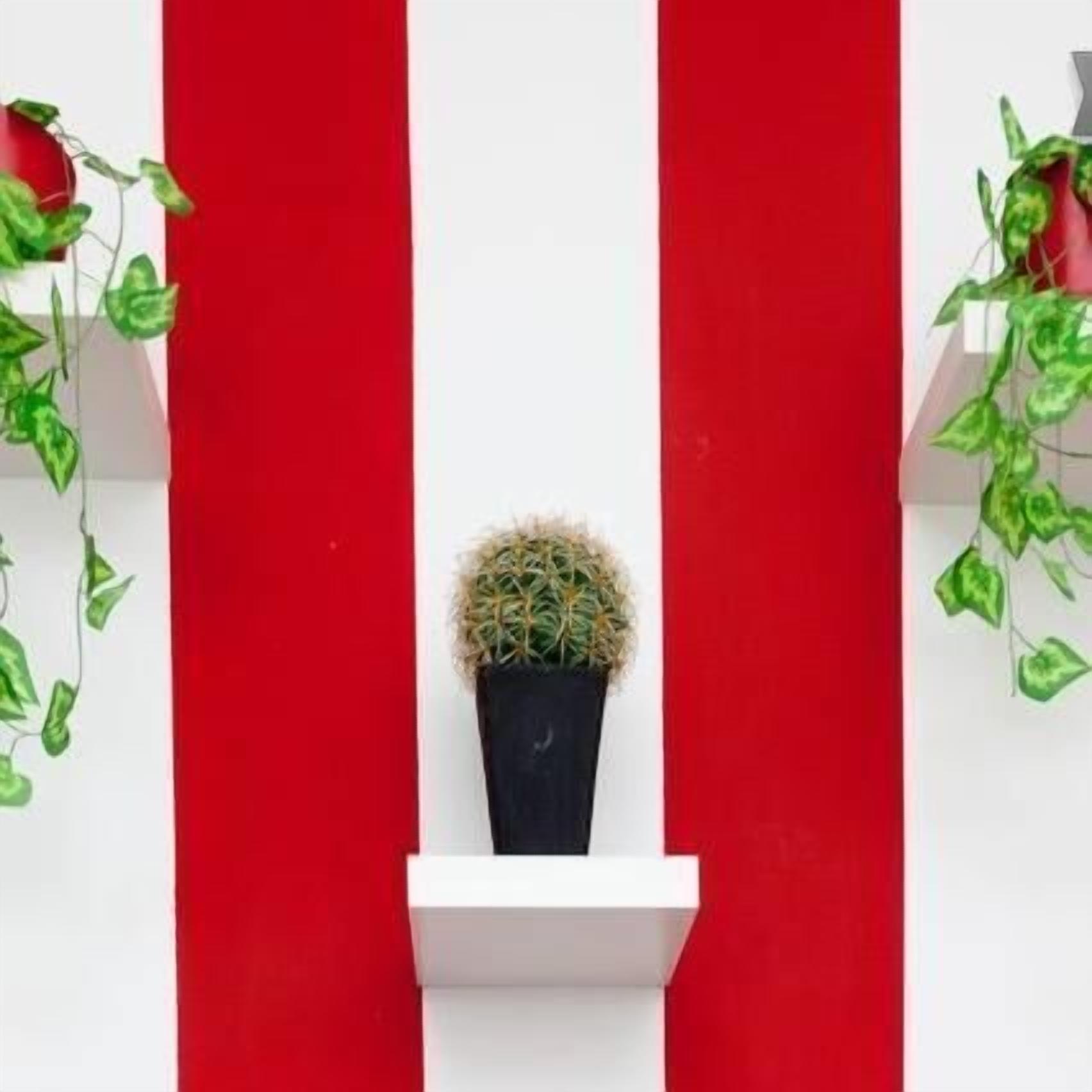 A white shelf with a cactus in the center, flanked by red walls and green plants.