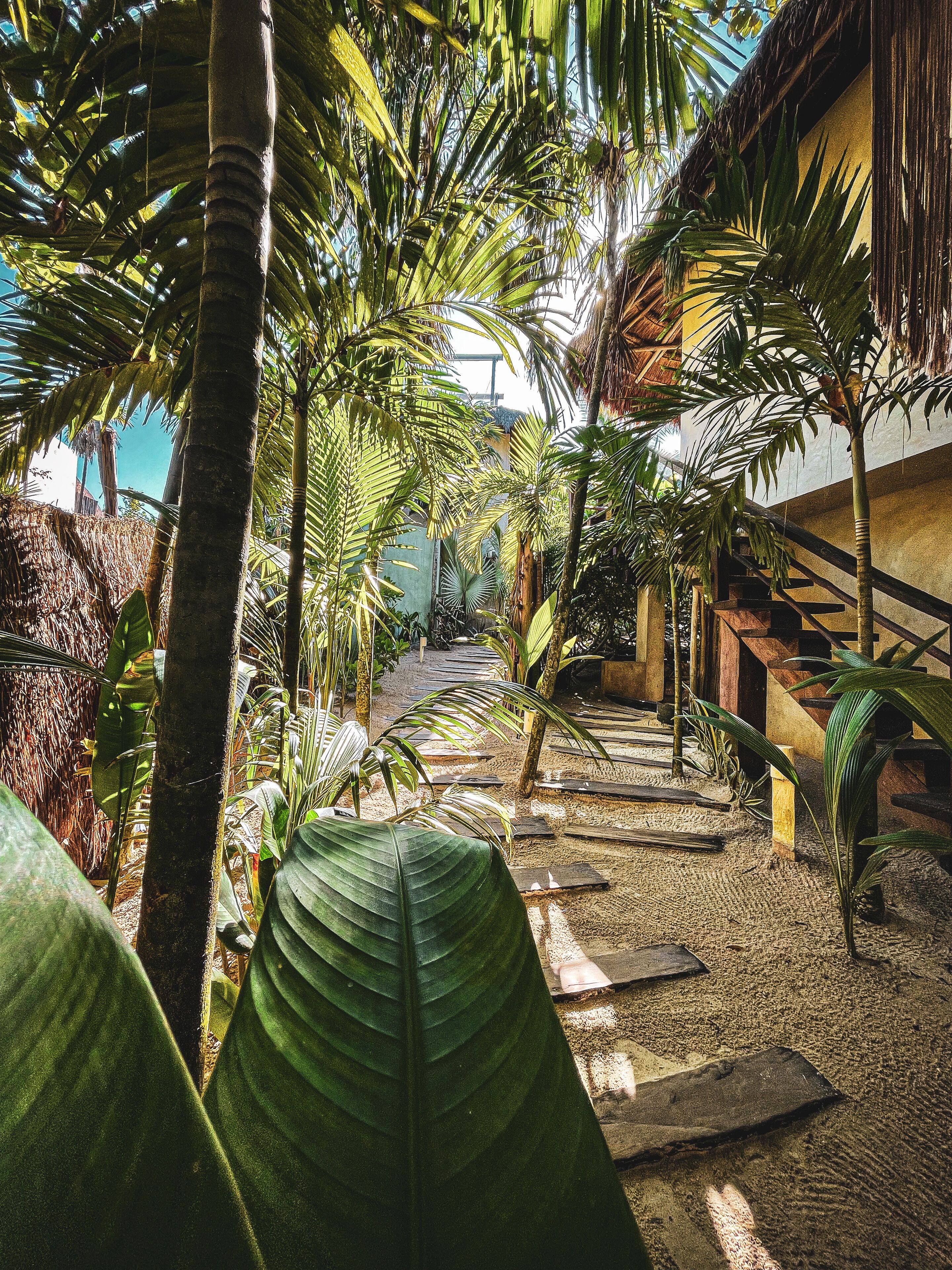Foto - Orchid House Tulum Beach