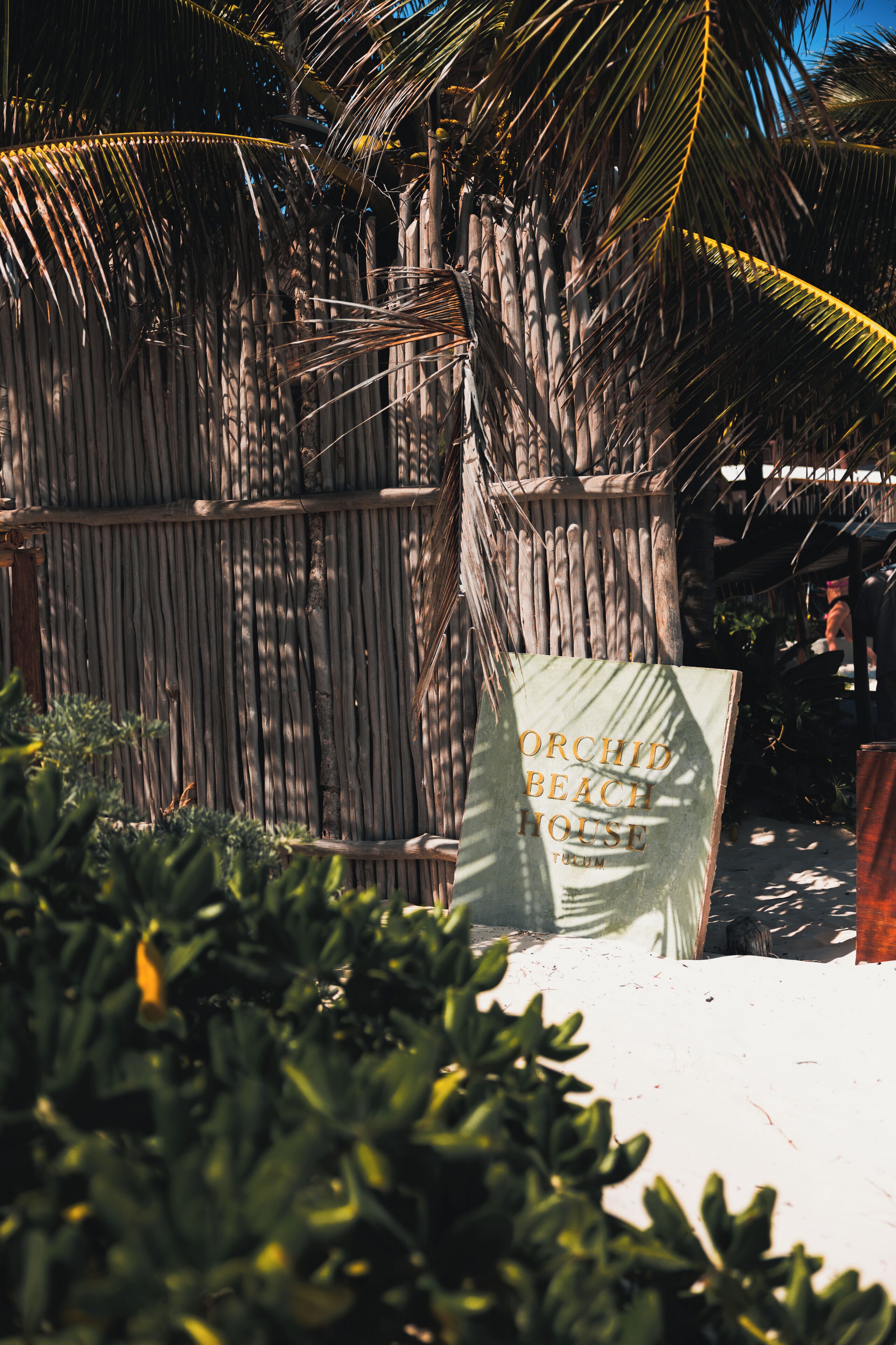 Foto - Orchid House Tulum Beach