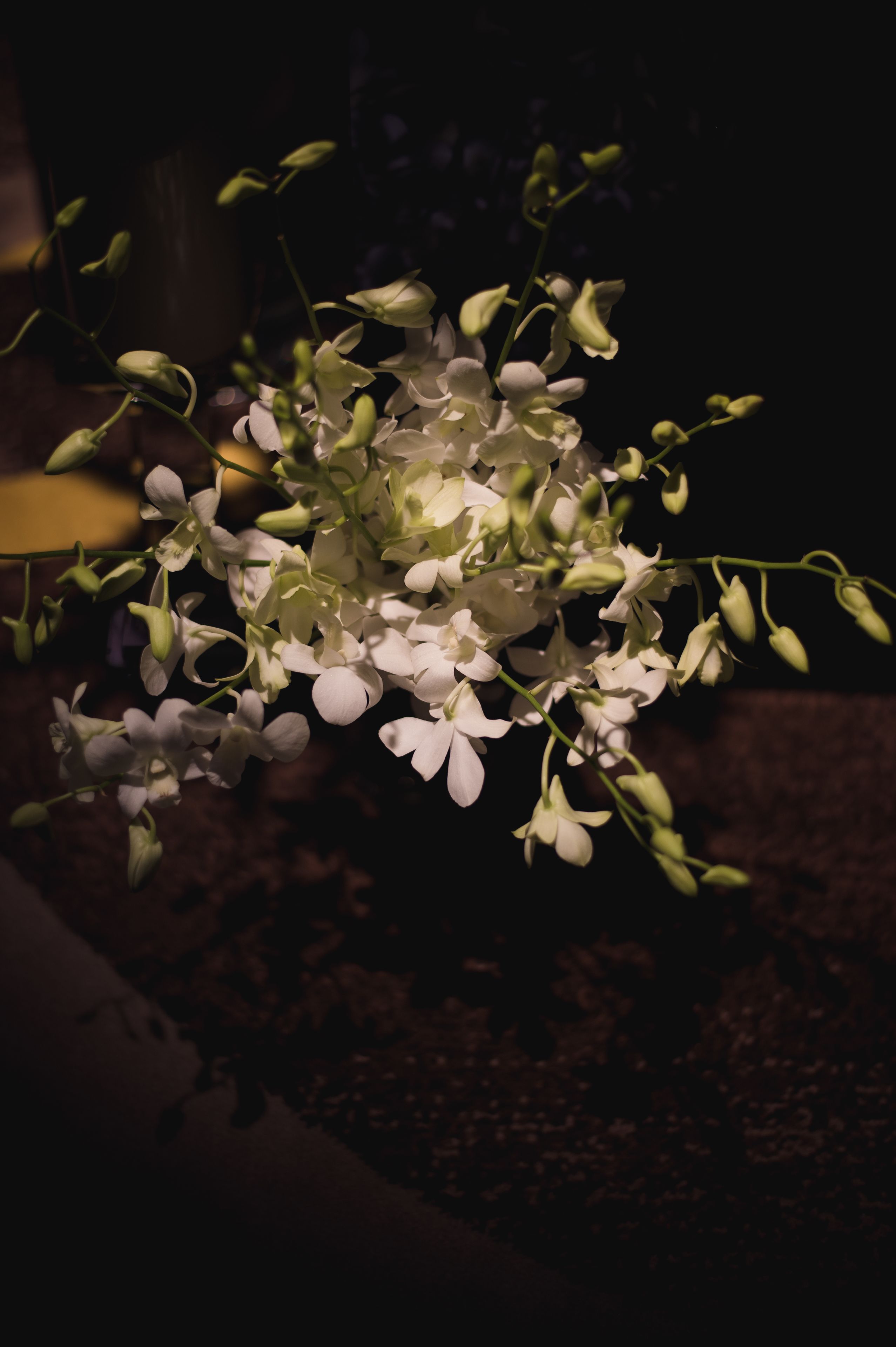 Un bouquet de fleurs blanches dans un vase.