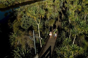 Uma ponte de madeira sobre um rio, cercada por vegetação tropical densa.
