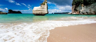 핫 워터 비치 탑 10 홀리데이 파크