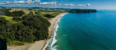 Vue aérienne d’une zone côtière avec une plage, une forêt dense et une mer bleue et limpide.