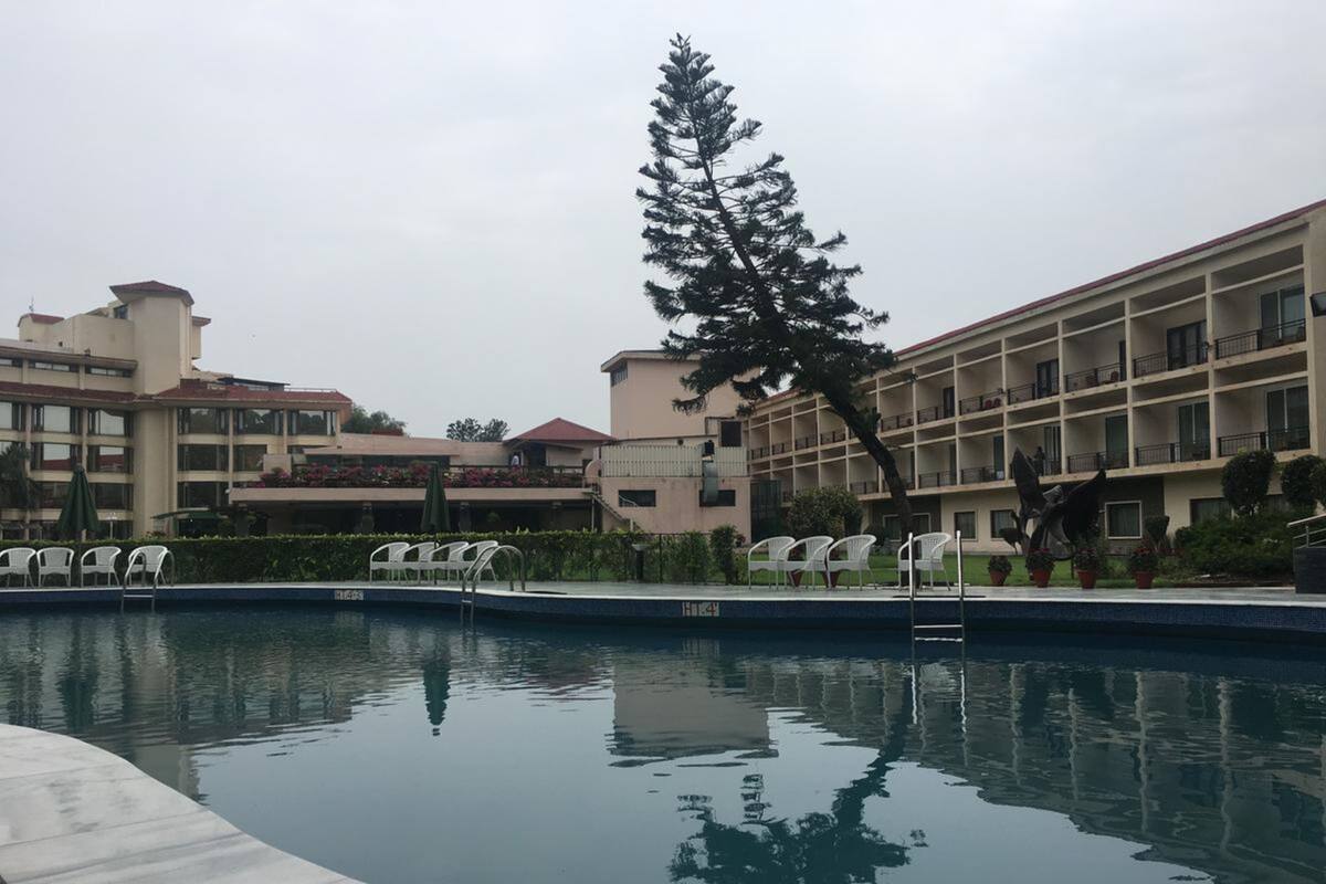 A swimming pool with lounge chairs and a tall tree in the center.