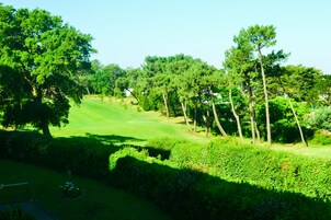 Un campo de golf con césped cuidado, árboles y setos.