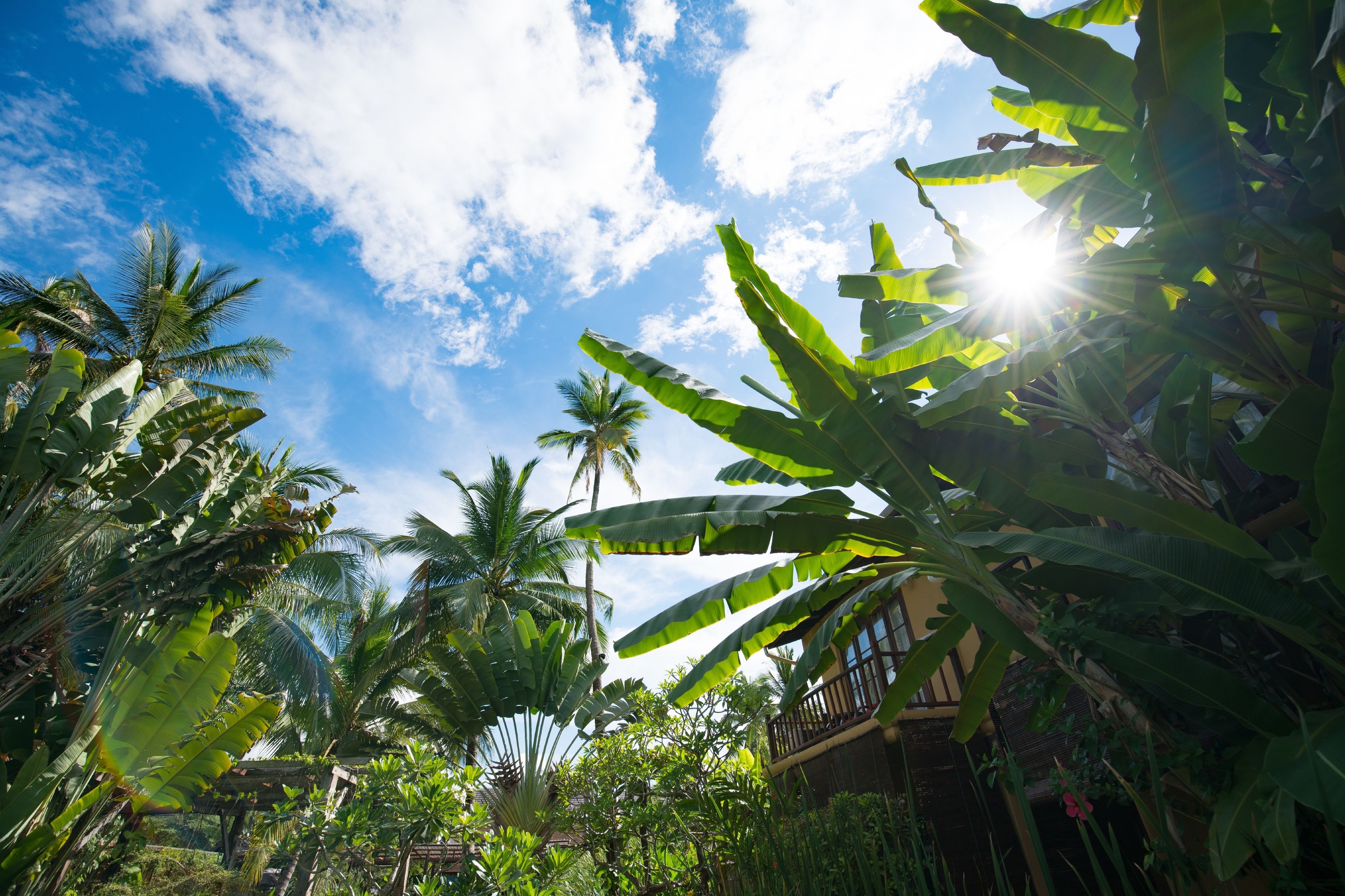 Foto - Maison Dalabua