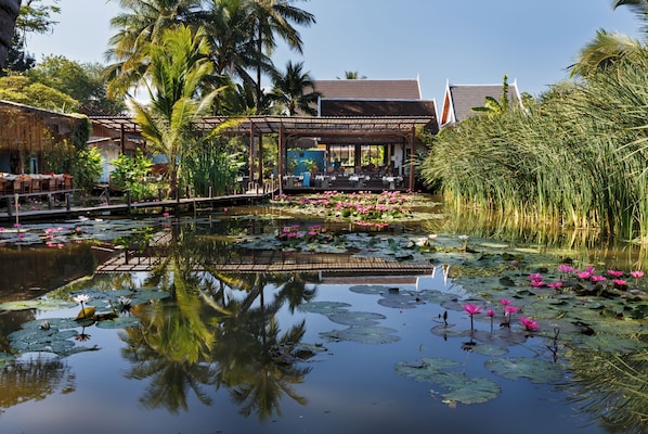 Breakfast, lunch and dinner served - Maison Dalabua (Luang Prabang)