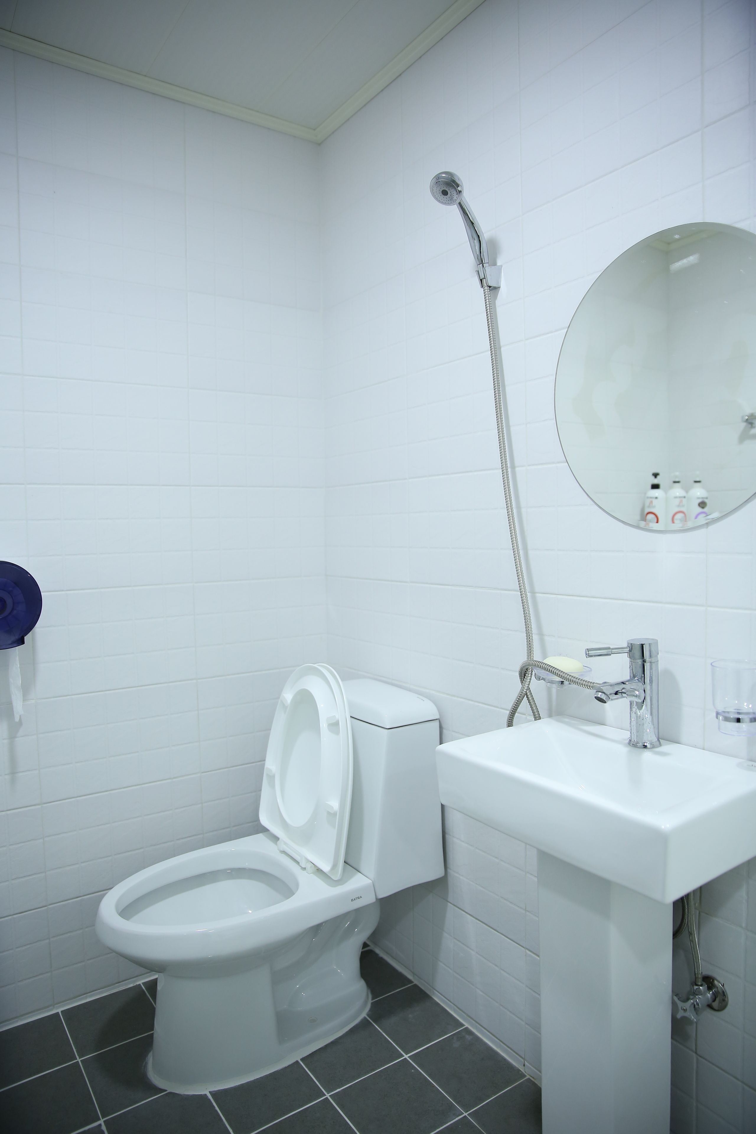 Un bagno con il water, un lavandino, uno specchio e una doccia.