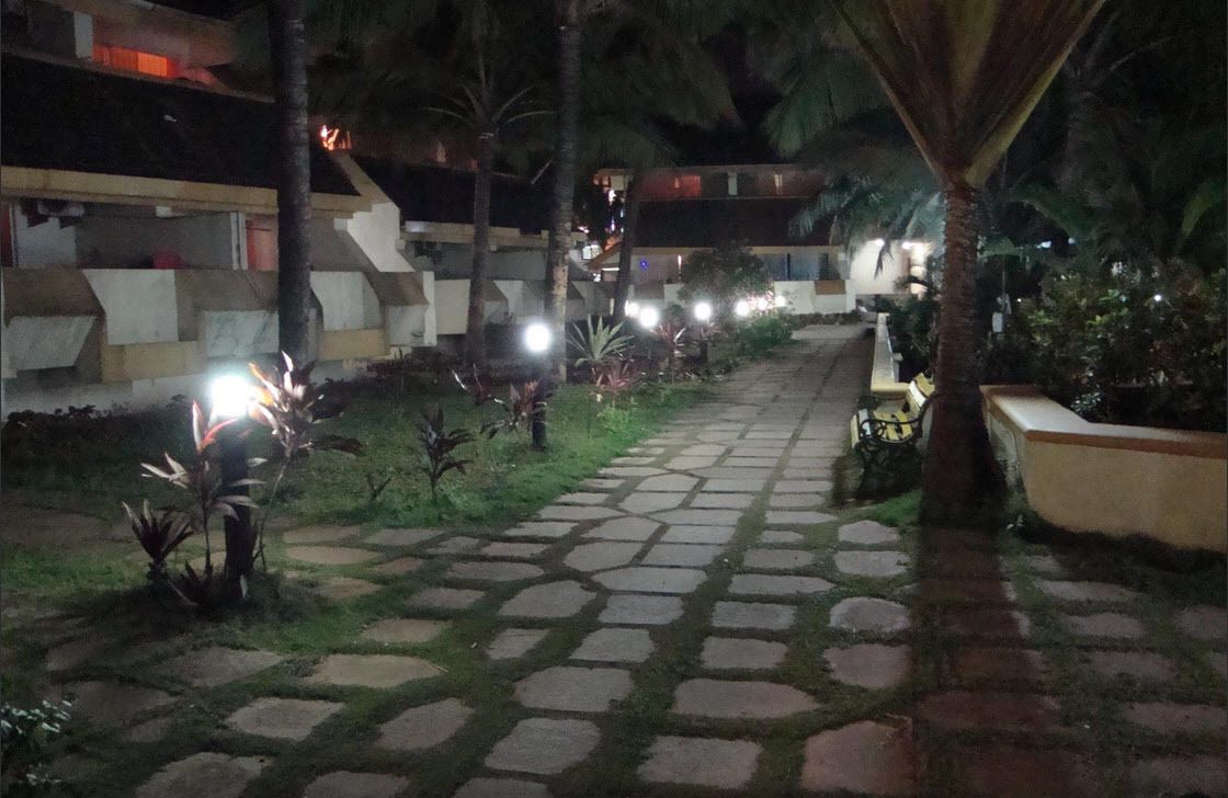 A nighttime pathway with stone paving, surrounded by palm trees and small plants, leading to a building with illuminated windows.