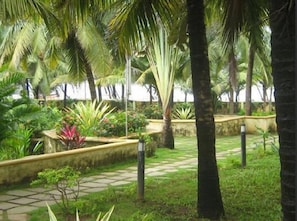 Vườn