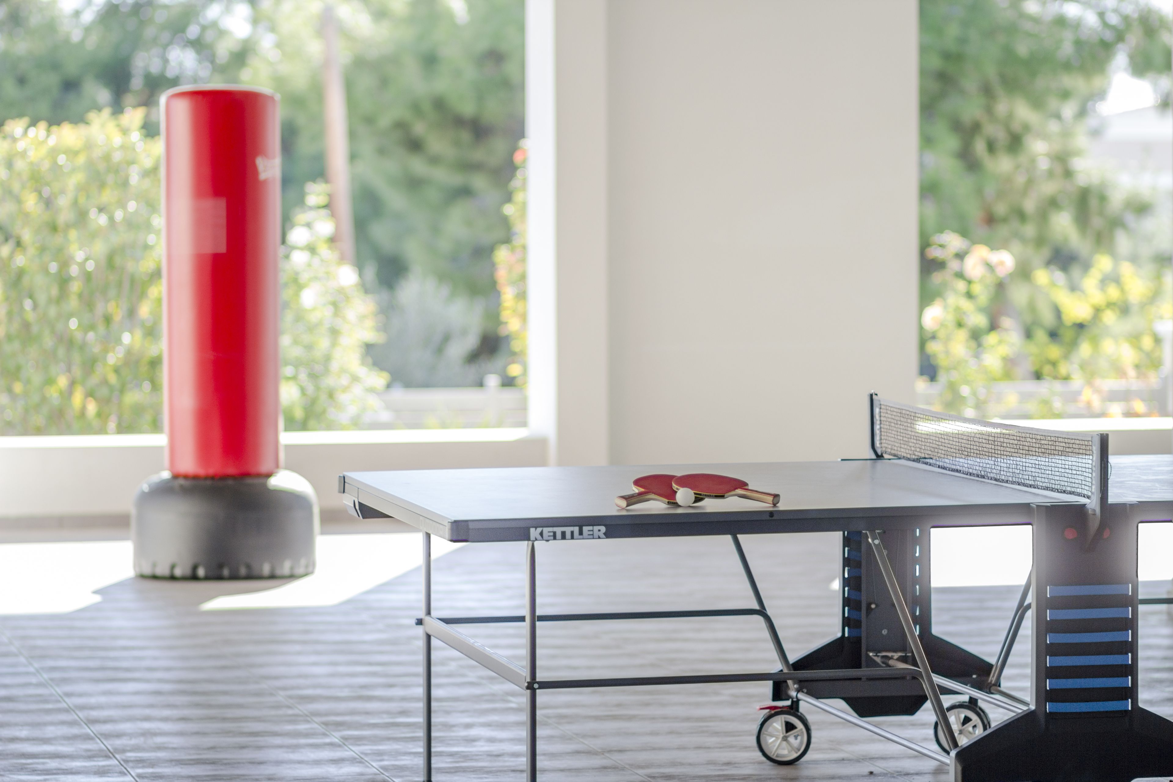A ping pong table with a Kettler brand, a red exercise machine, and a view of greenery through large windows.