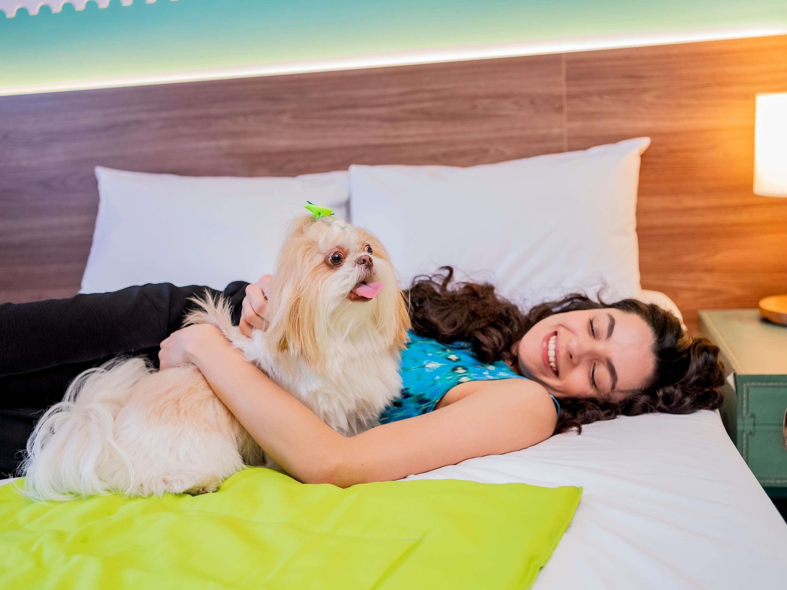 Minibaari, tallelokero huoneessa, työpöytä