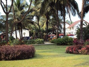 A tropical garden with palm trees, a small white building, and red umbrellas.