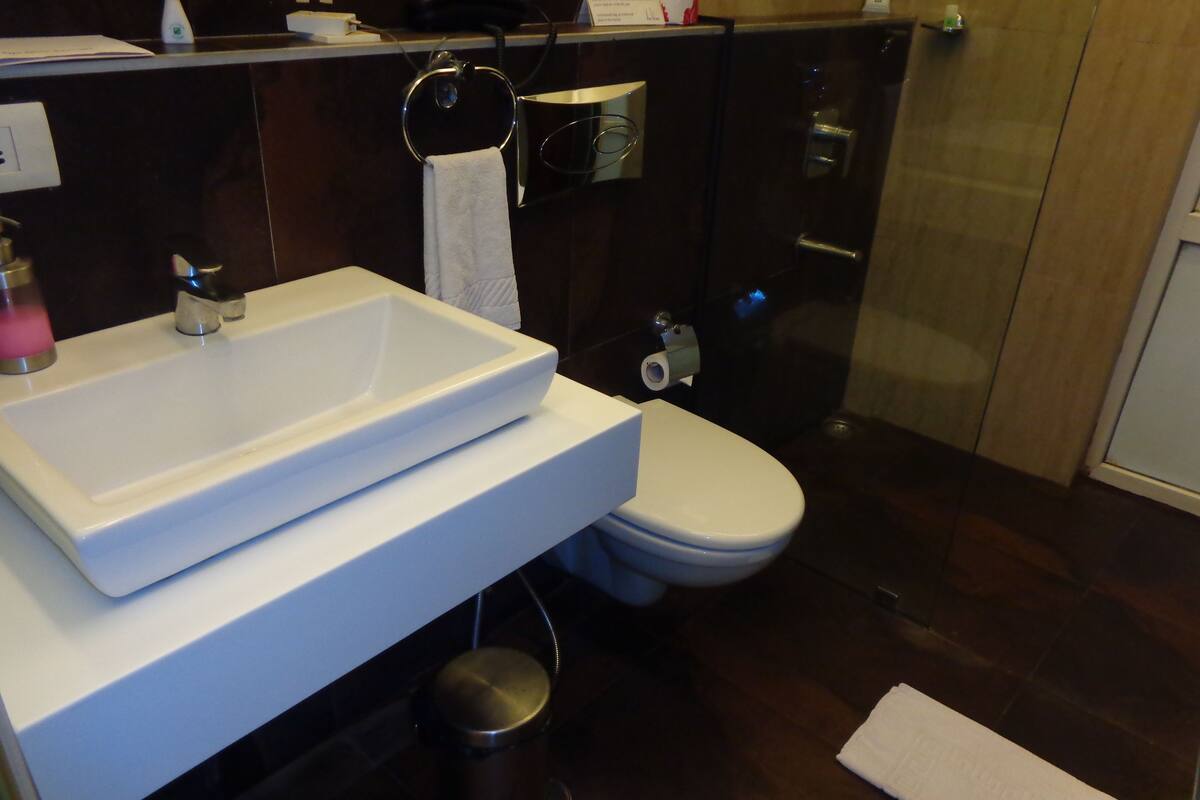 shower, rainfall showerhead, free toiletries, hair dryer