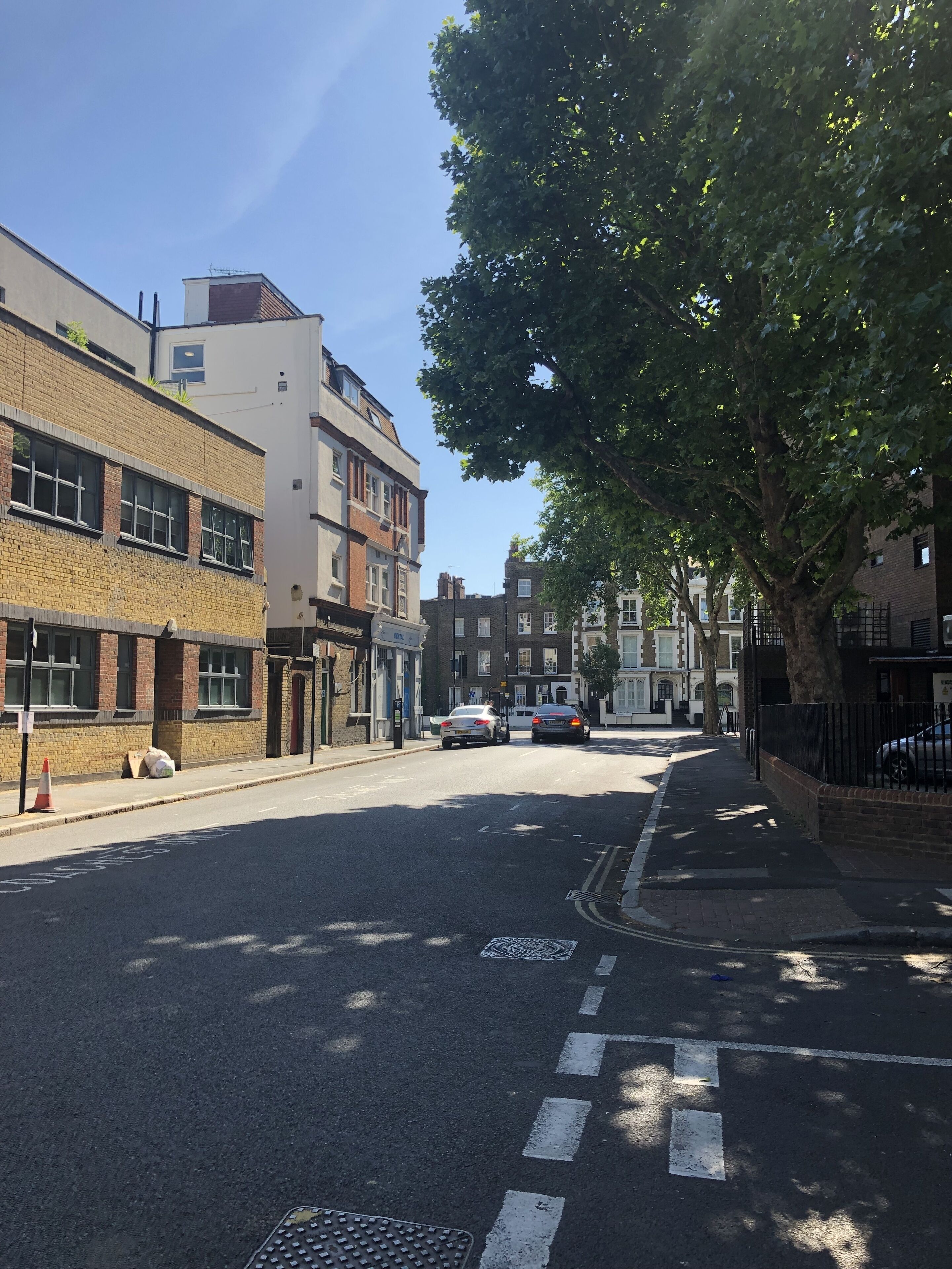 A street with buildings, cars, and a tree.