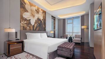 Suíte executiva, 1 cama King, vista para a cidade (Executive Suite) | Vista do quarto