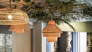 Un espace d’accueil avec un comptoir d’enregistrement, des chaises noires et une plante décorative.