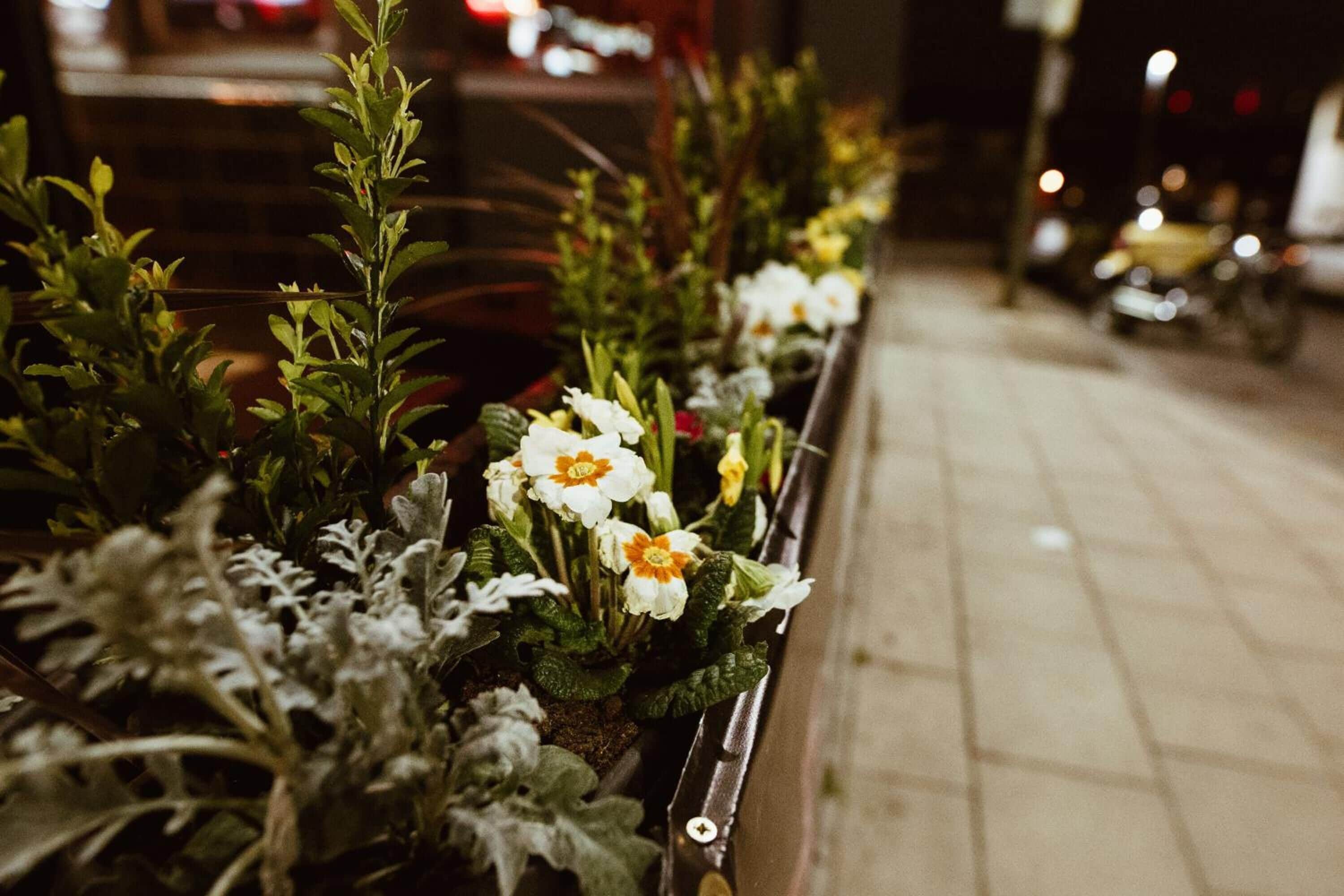 Foto - PubLove @ The Crown, Battersea