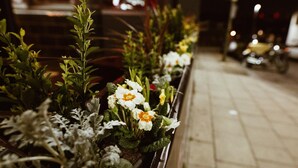 A row of flower planters along a sidewalk at night. - PubLove @ The Crown, Battersea - Hostel (London)