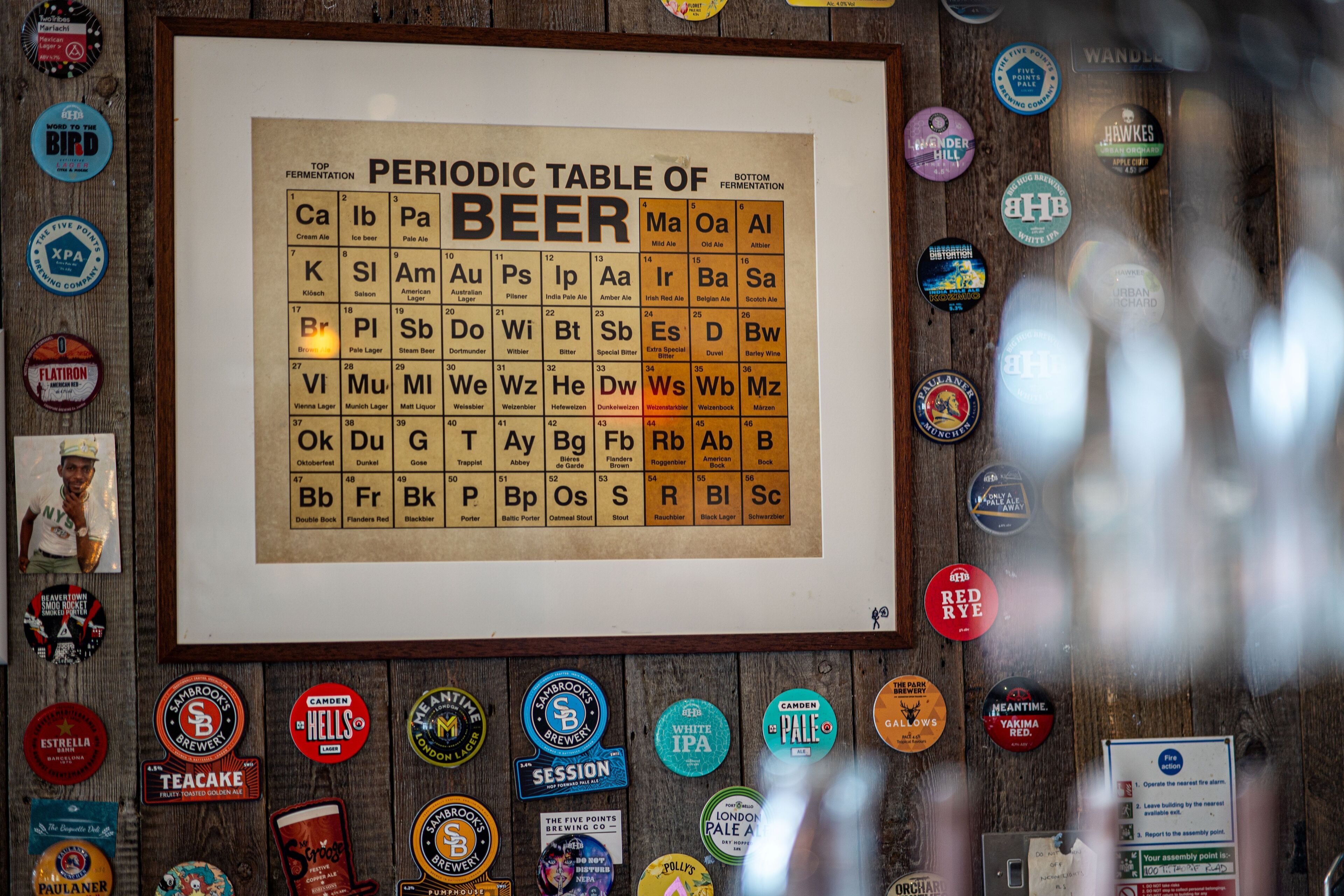 A wall with a Periodic Table of Beer and various beer bottle labels.