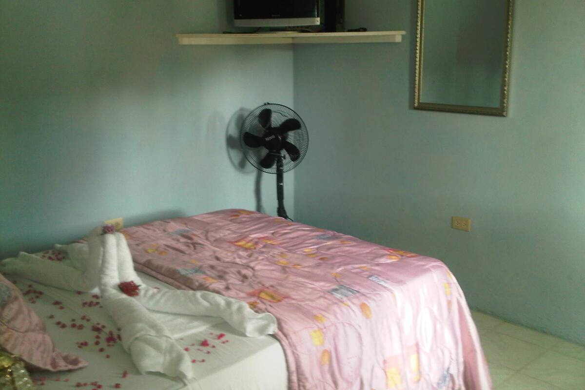 A bedroom with a bed, a wall-mounted TV, a standing fan, and a mirror.