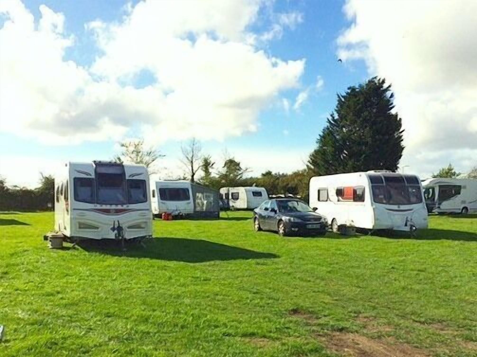 A grassy field with several RVs parked.